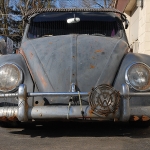 Front View of Rat Bug