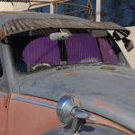 Windshield Rat Bug